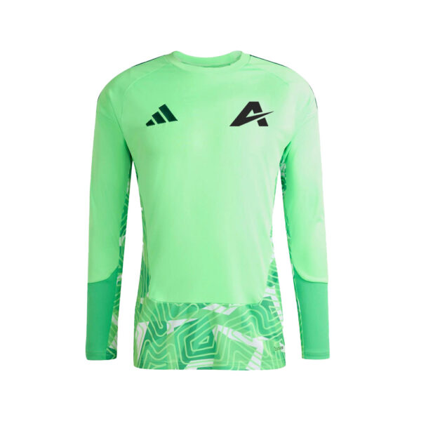 TIRO COMPETITION GK JERSEY LONG SLEVE GREEN
